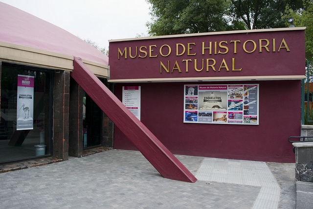 Cierra Museo de Historia Natural y Cultura Ambiental