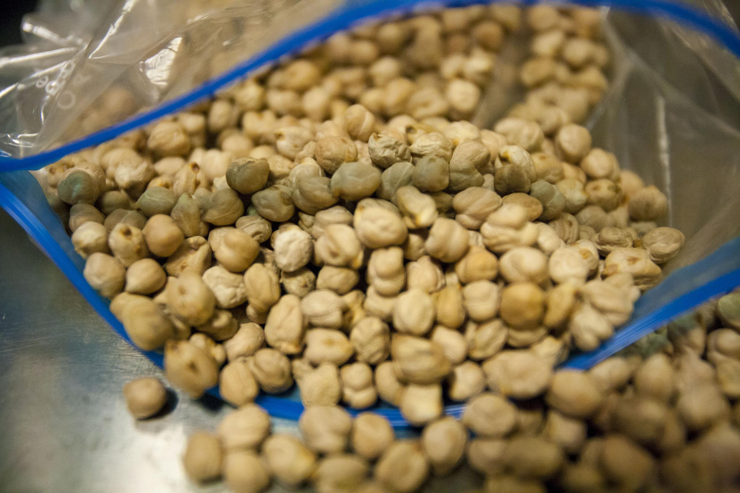 Garbanzo cocido reduce incidencia de cáncer de colon Prensa Animal