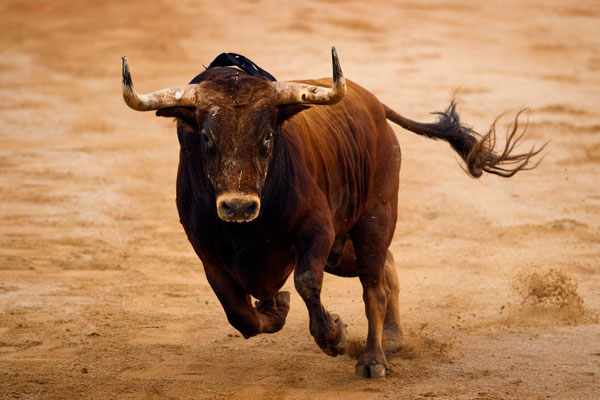 SCJN revoca suspensión que prohibía corridas de toros 