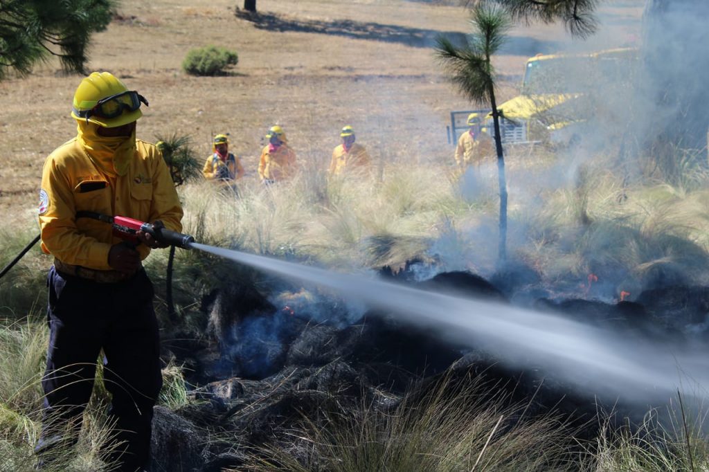 Se atendieron 6224 incendios forestales en la temporada 