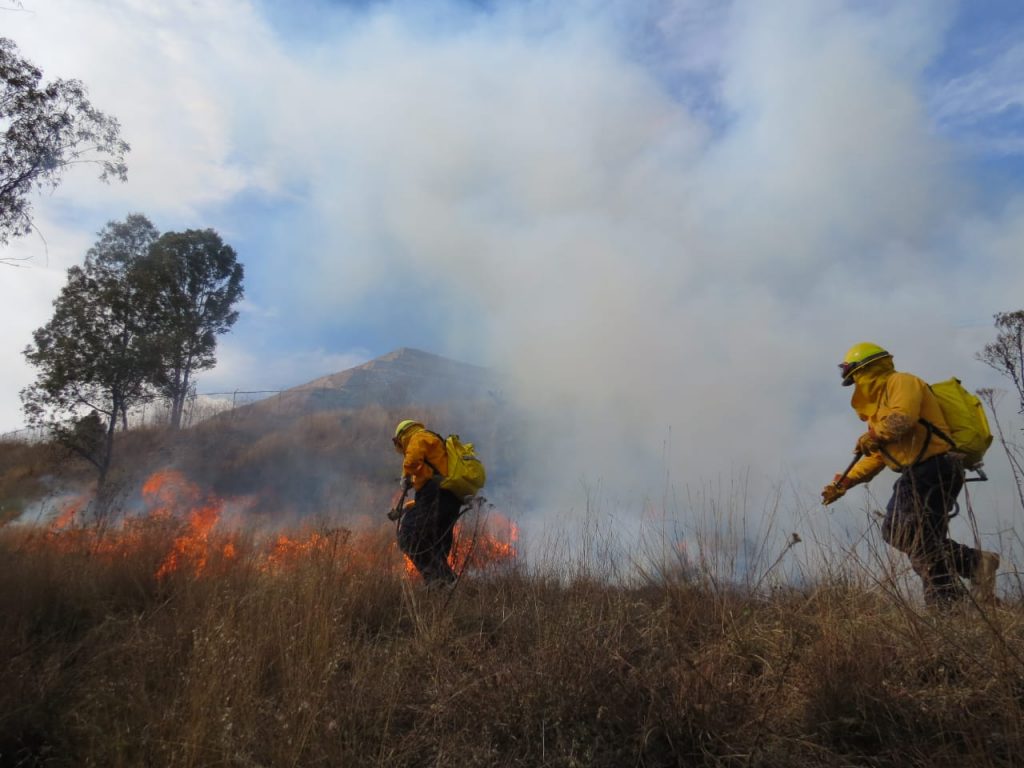Se reportaron 59 incendios forestales