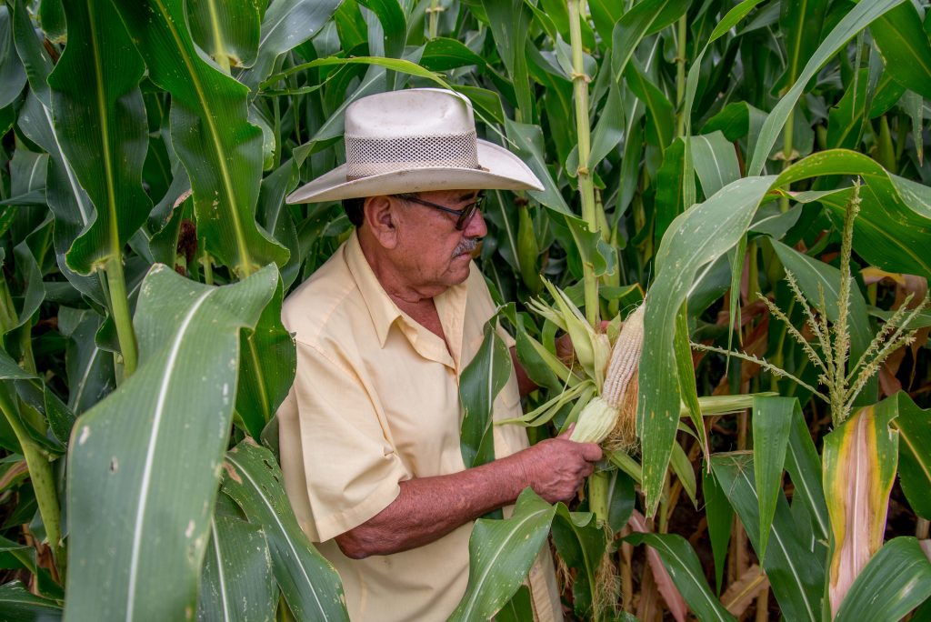 Se avanzó 45.5 por ciento en apoyos 