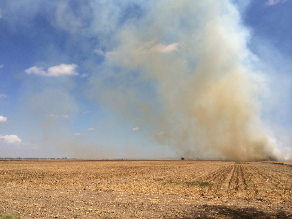 Sader realiza recomendaciones para evitar quemas agrícolas