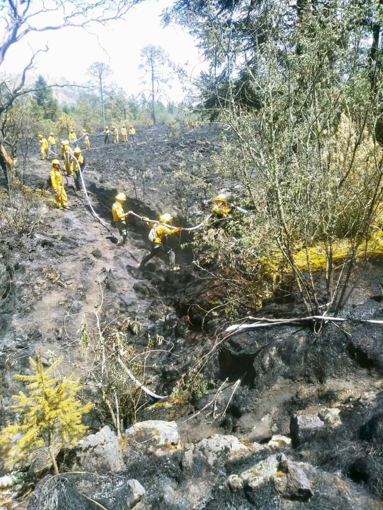 Quinta Roo registró 16 incendios 