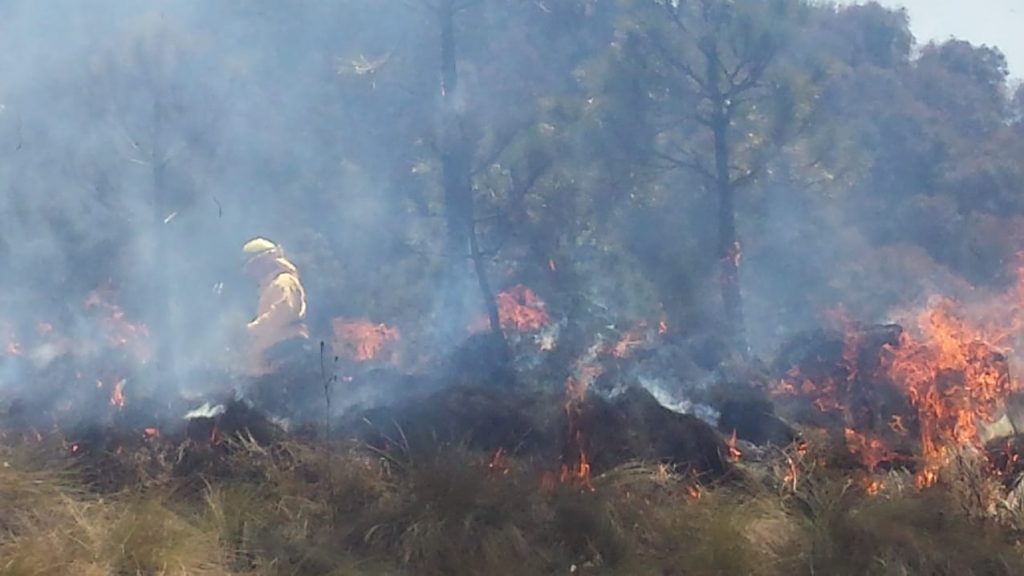 Se incrementan incendios forestales activos 