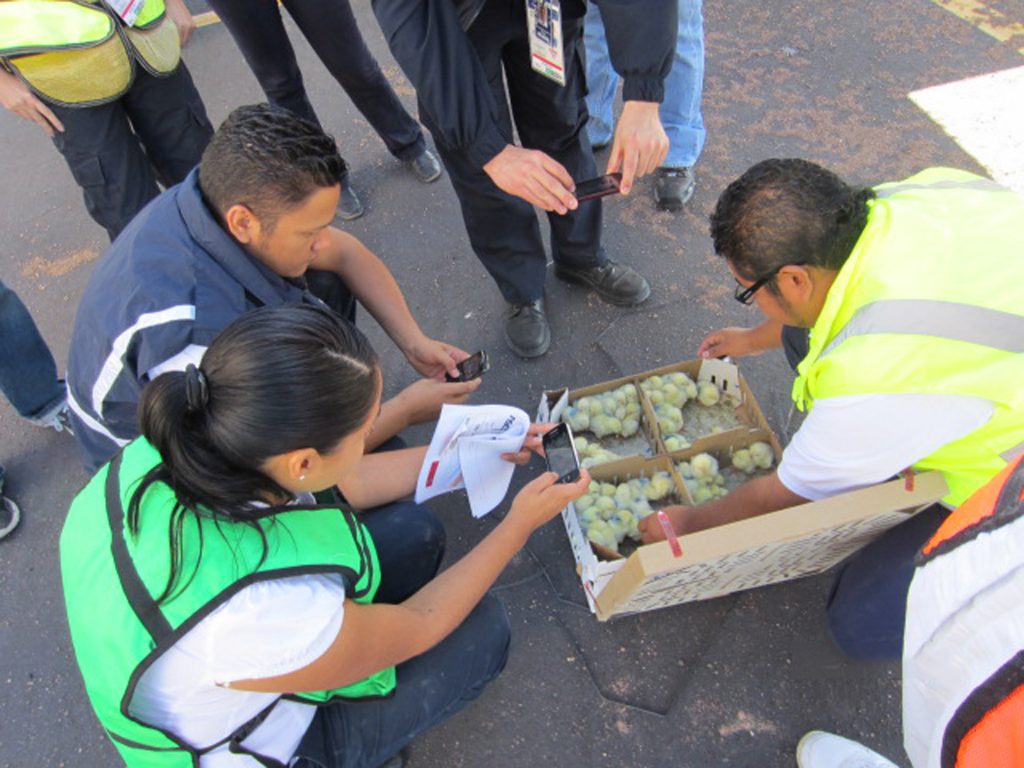 Inspeccionan cargamentos agropecuarios para disminuir plagas