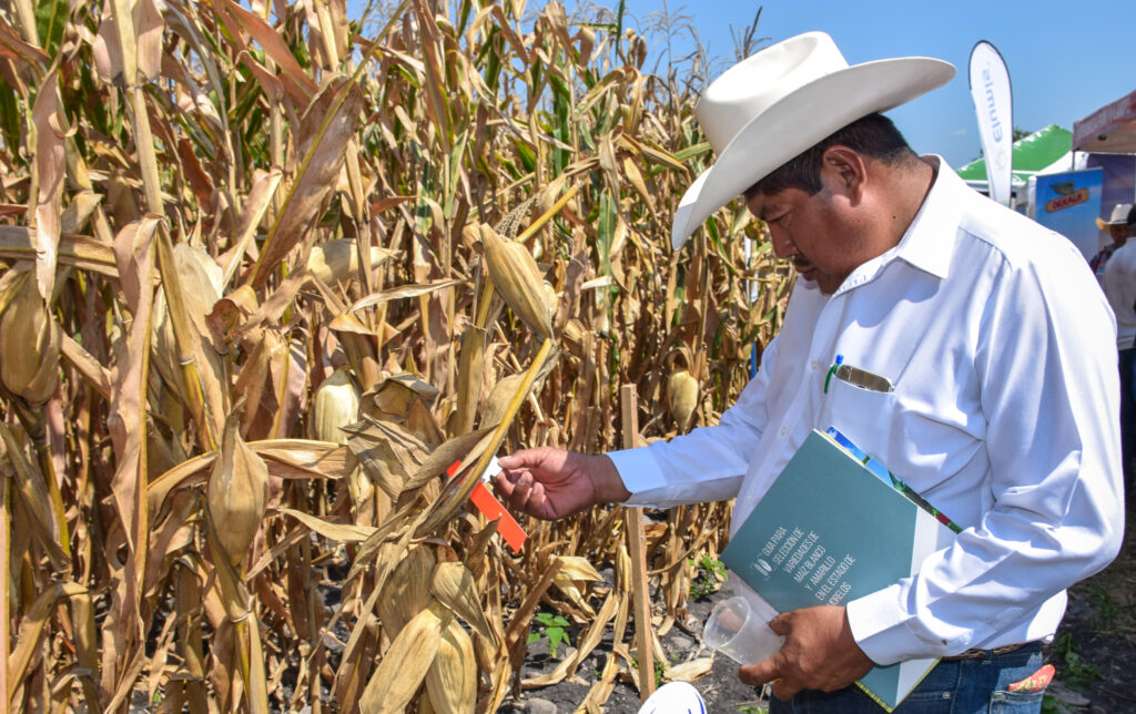 Avanza México hacia un modelo agroecológico 