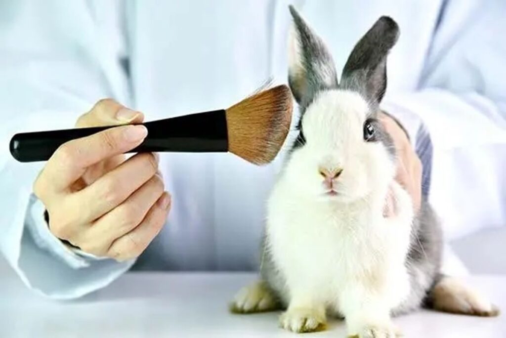 Colombia: prohíbe pruebas de cosméticos en animales