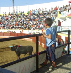 Piden en Pachuca prohibir menores en corridas de toros