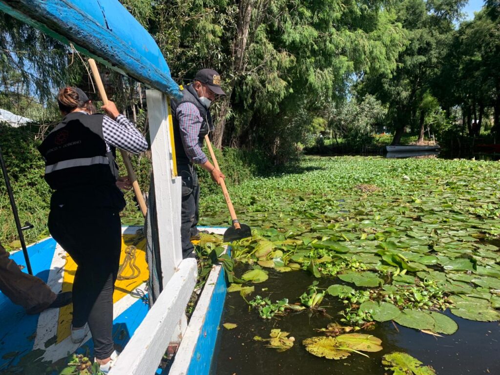 Mega jornada de limpieza de canales en Xochimilco