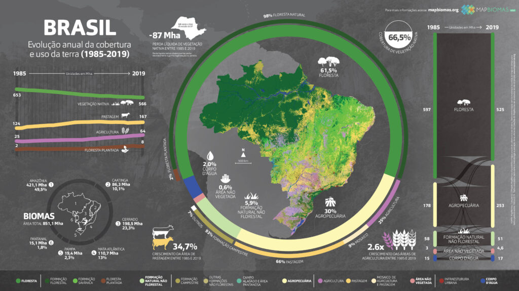 Cerrado en Brasil perdió 30 millones de vegetación nativa 