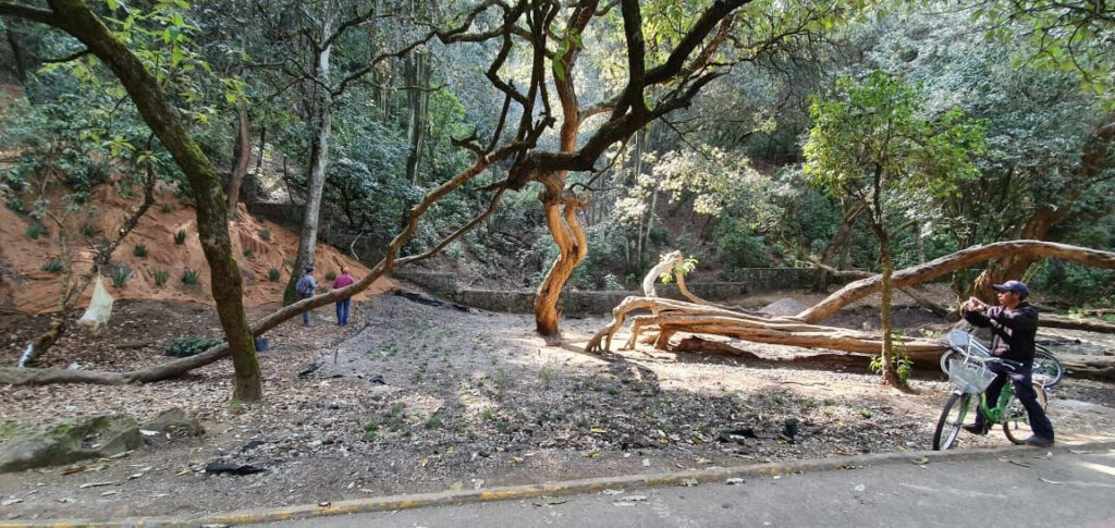 Gana premio internacional Parque Ecológico de CDMX