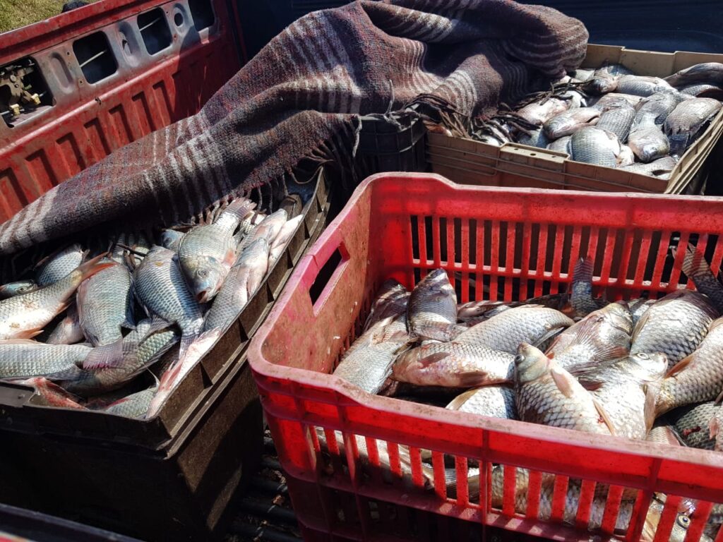 Retienen 145.14 toneladas de producto pesquero