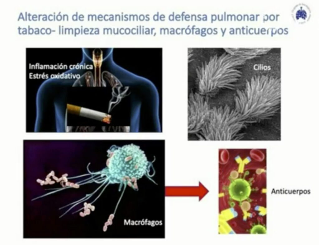 Fumadores: más susceptibles al contagio de la COVID-19