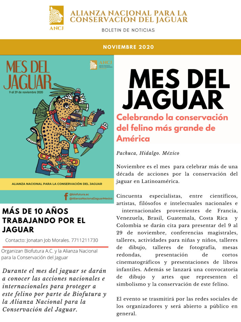 Anuncian acciones para conmemorar el Mes del Jaguar 