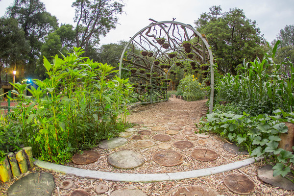 Avanza concurso Jardín Temático-Etnobotánico