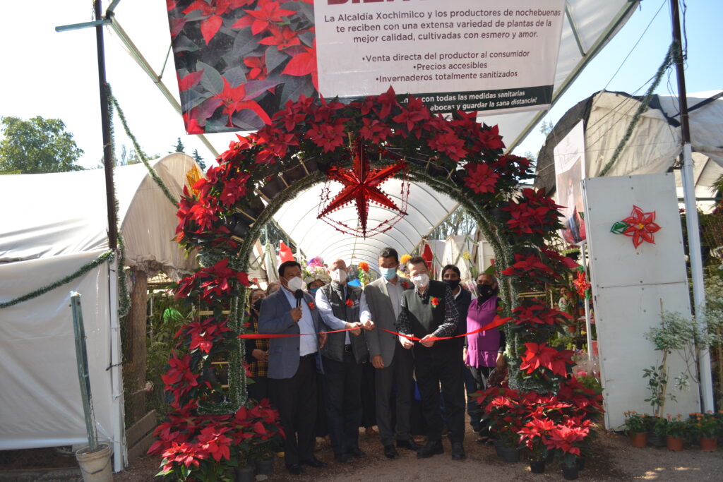 Inauguran expo venta de Nochebuena en Xochimilco