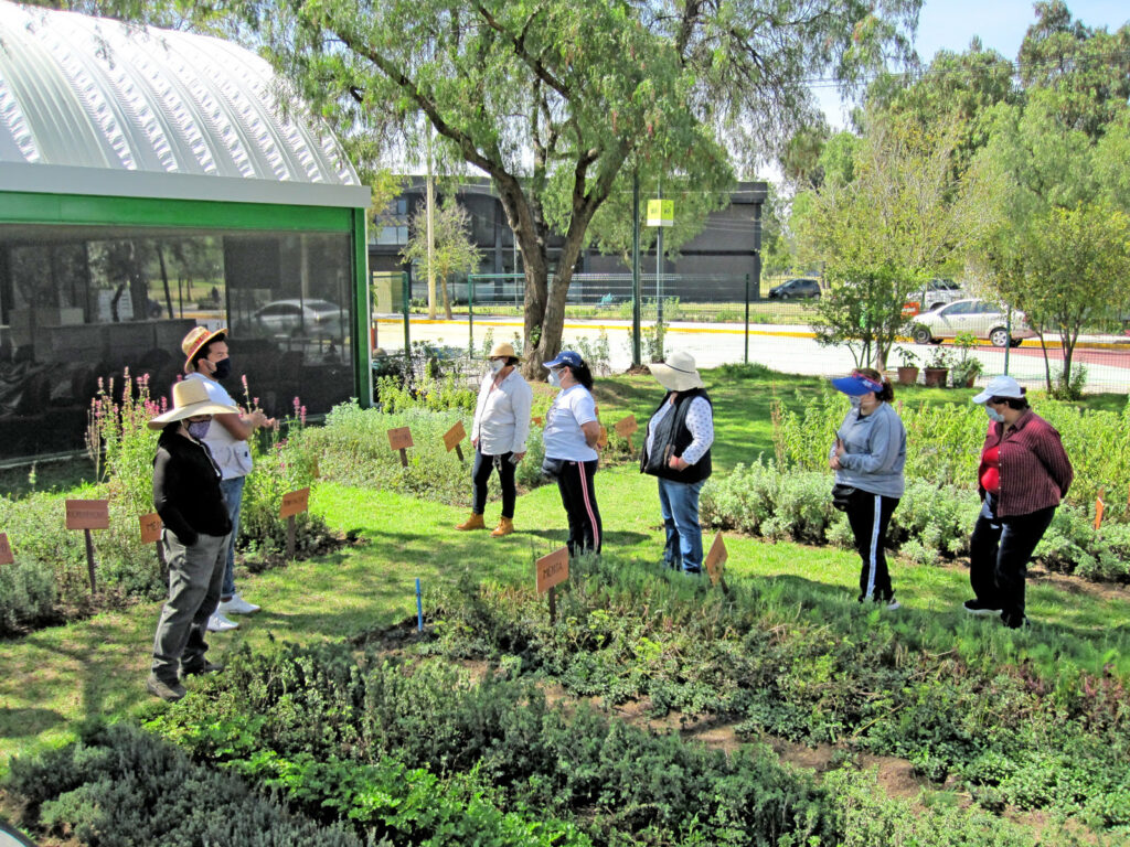 Imparte Sedema cursos sobre jardinería ambiental