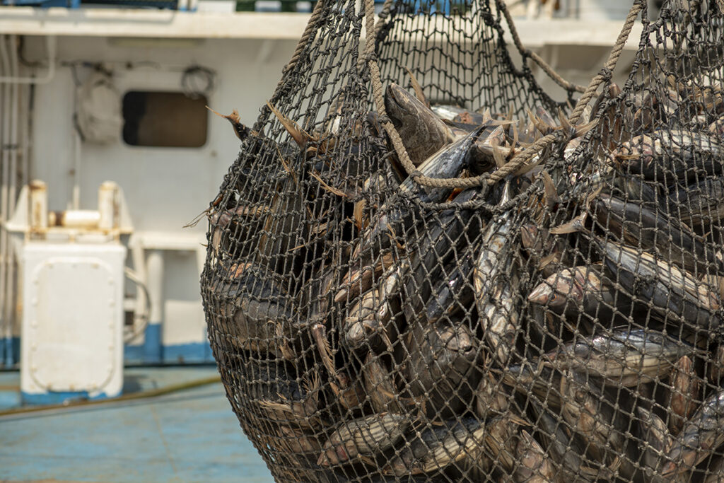Piden eliminación de subsidios pesqueros nocivos