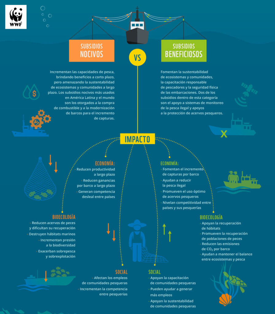 Piden eliminación de subsidios pesqueros nocivos
