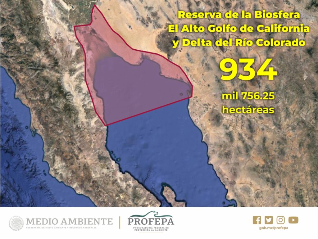 Presentan plan para atender el Alto Golfo de California