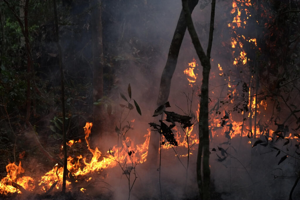 Más del 17% de Brasil se ha quemado en 20 años