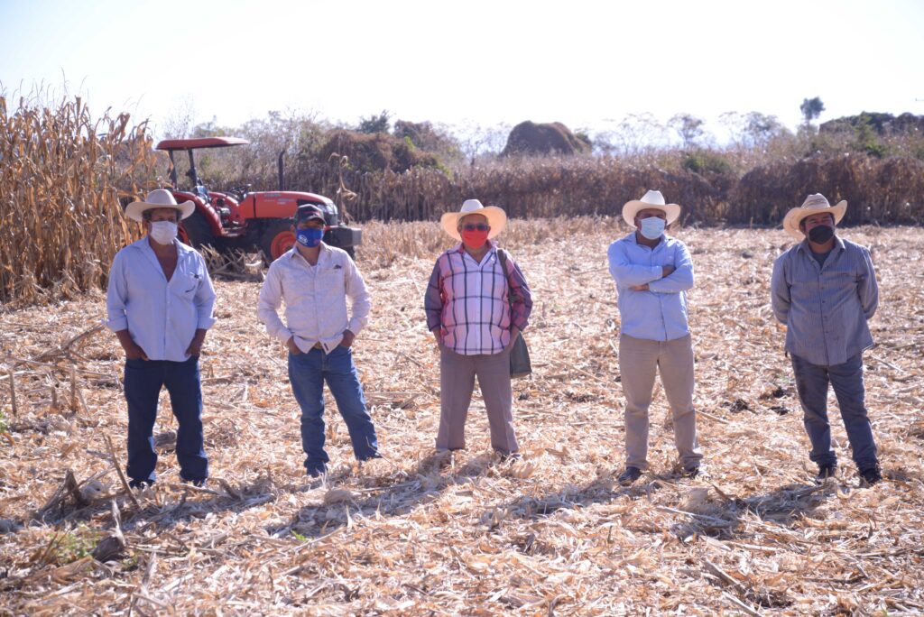 Extenderán entrega de fertilizantes a productores