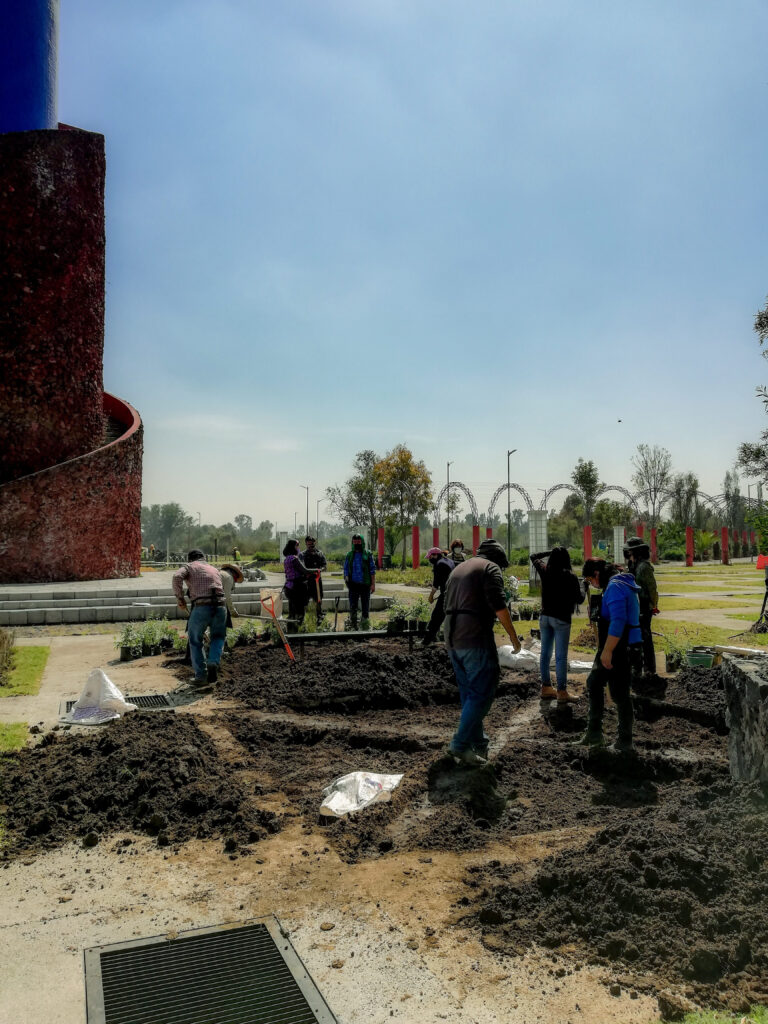Crean vecinos jardín para polinizadores en Xochimilco