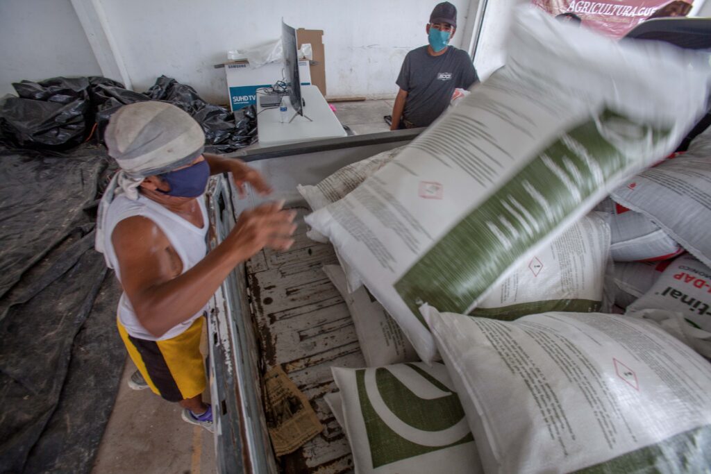 Publican dictaminación positiva del programa Fertilizantes 