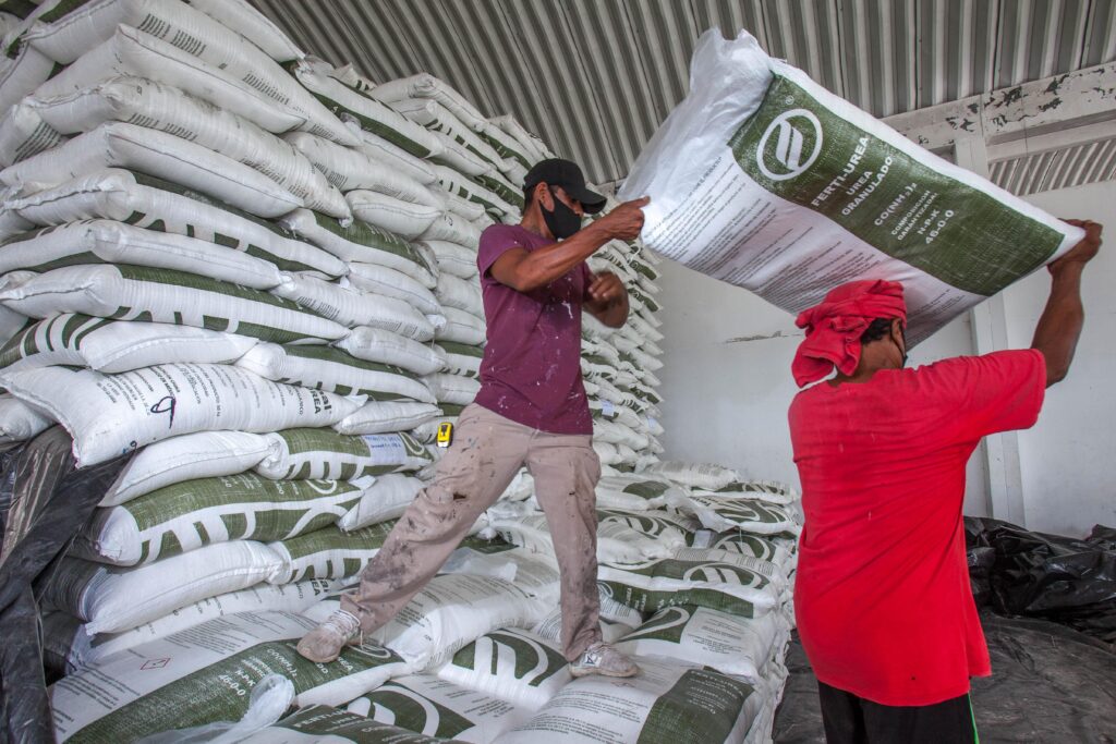 Publican dictaminación positiva del programa Fertilizantes 