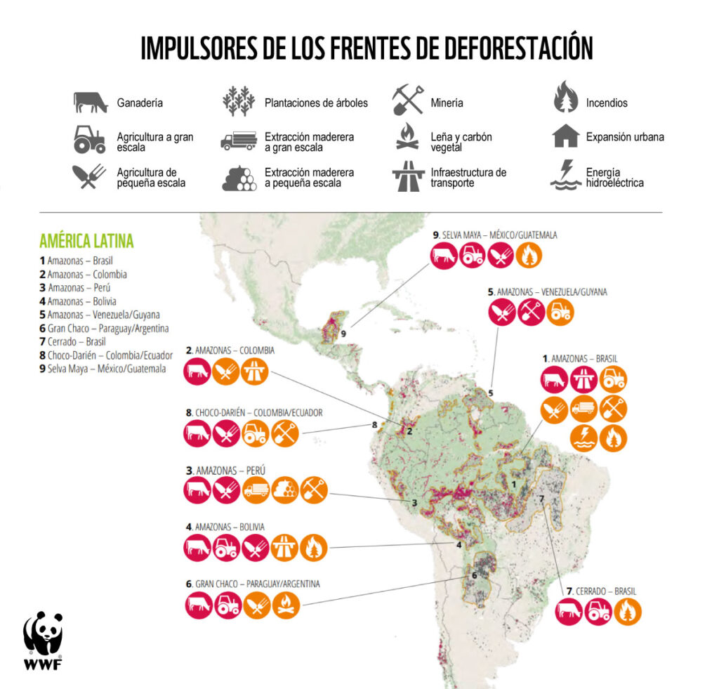 Deforestación global avanza en 24 frentes: 9 están en AL