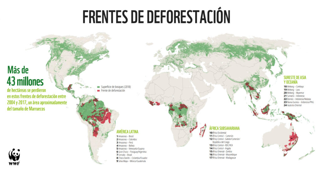 Deforestación global avanza en 24 frentes: 9 están en AL