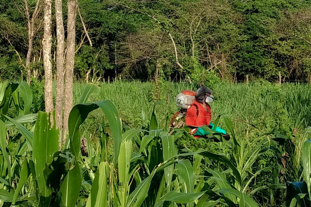 Capacitan a productores en Buen Uso de Plaguicidas