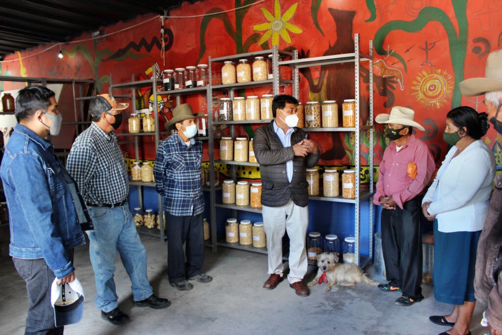 Inauguran banco comunitario de semillas en Oaxaca 