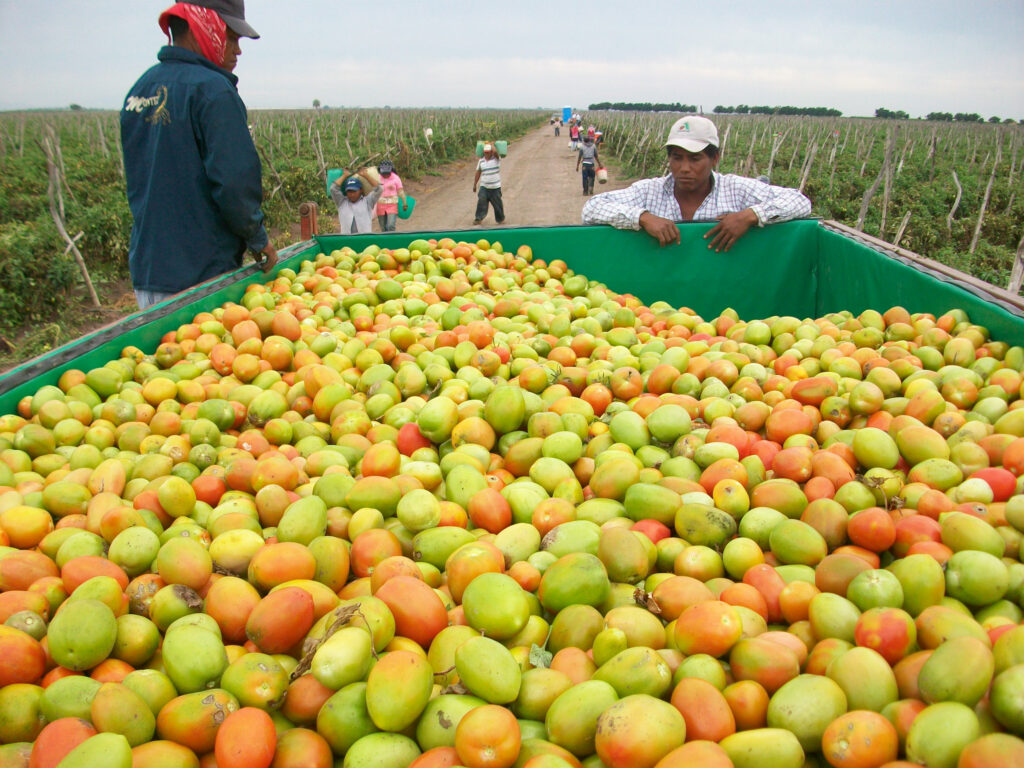 Celebran Año Internacional de las Frutas y Verduras 2021