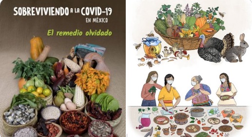Presentan guía Sobreviviendo a la COVID-19 en México