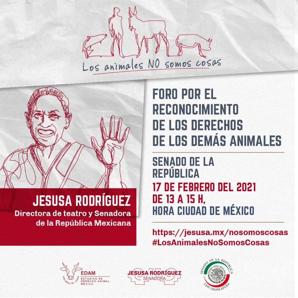 Leyes contra maltrato animal: Jesusa Rodríguez