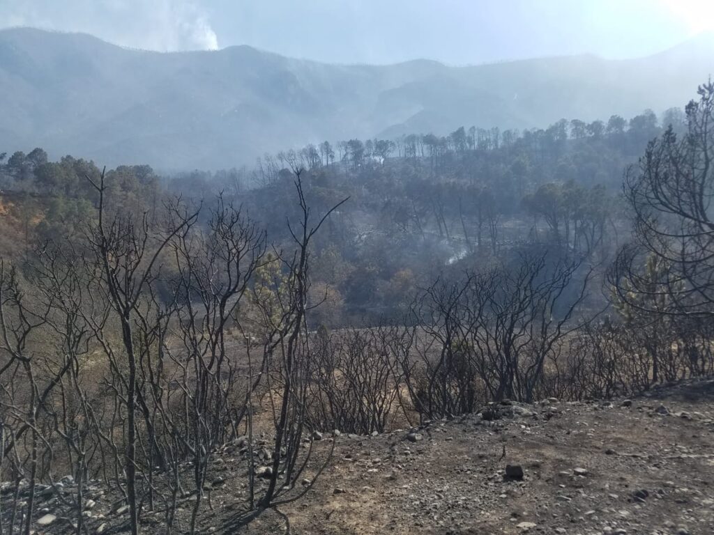 Se registran 73 incendios forestales activos 