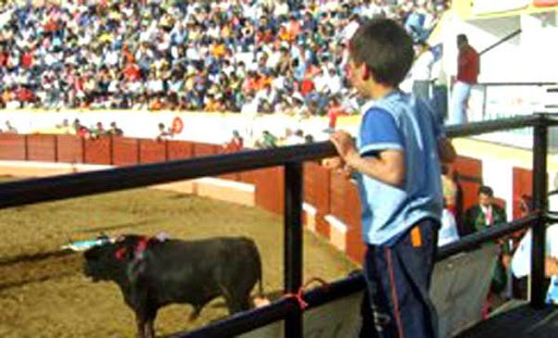 Prohibirán a infantes entrar en corridas de toros de CDMX