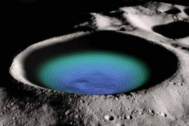 La NASA planea criar peces en la Luna