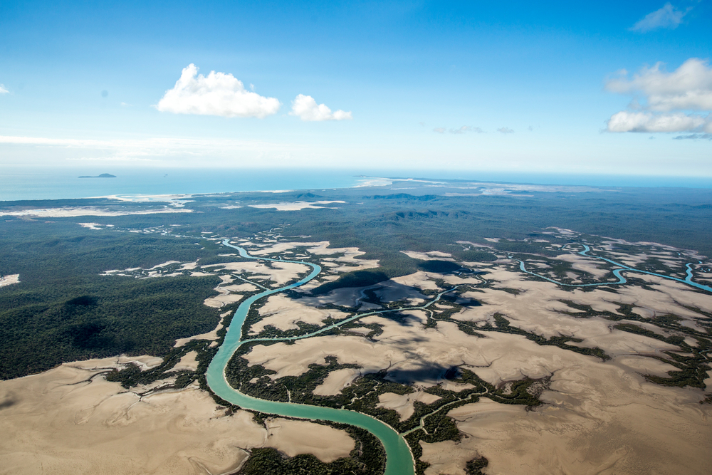 WWF cumple 60 años de impacto en la conservación 