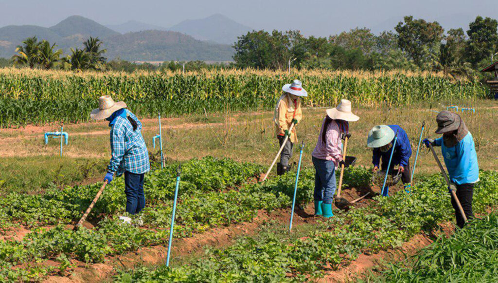 Debe la agroecología guiar al campo mexicano 