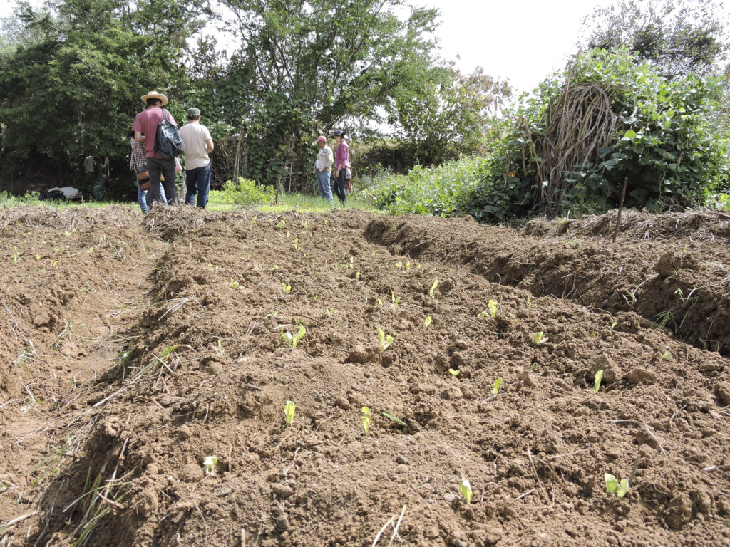 Debe la agroecología guiar al campo mexicano 