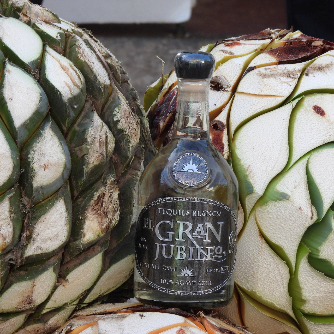 La Alborada uno de los mejores tequilas de México Prensa Animal