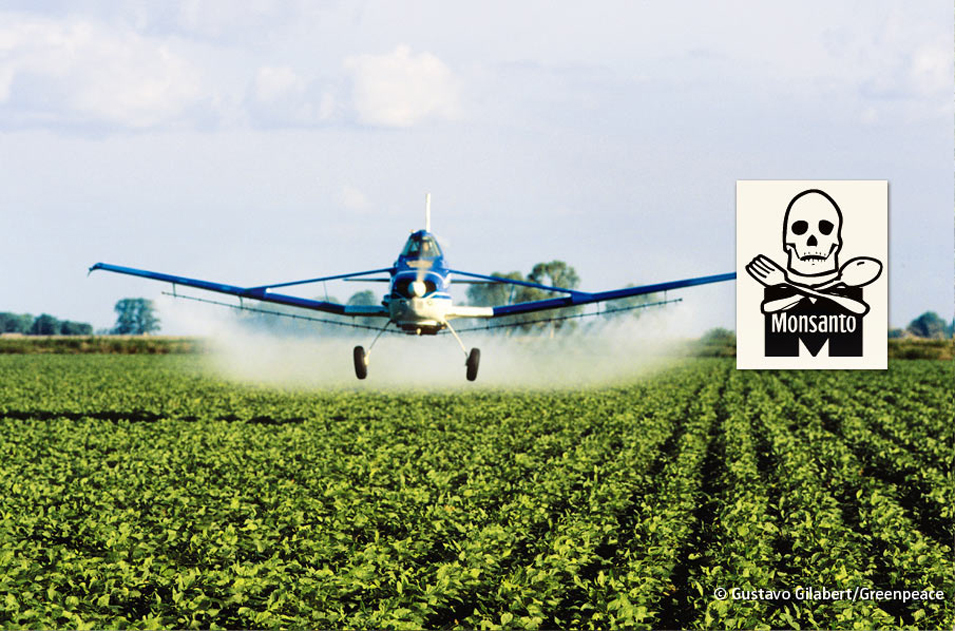 Piden a juez rectificar fallo a favor de Monsanto 