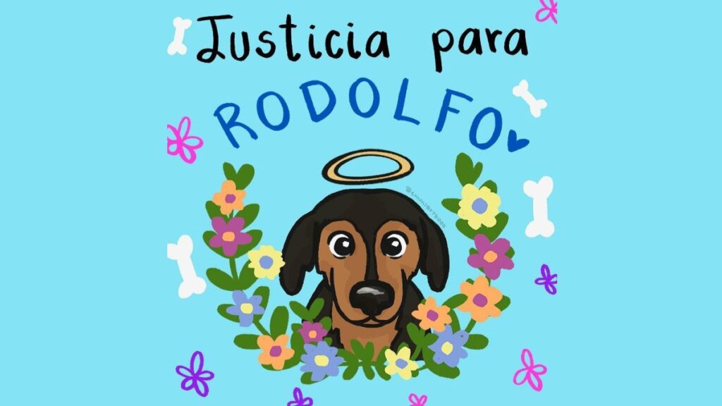 Piden justicia por el perrito Rodolfo Corazón