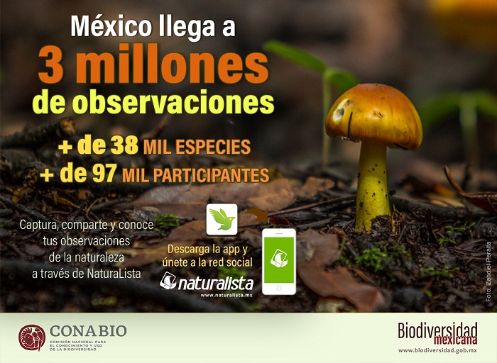 Naturalista: 3 millones de observaciones de naturaleza