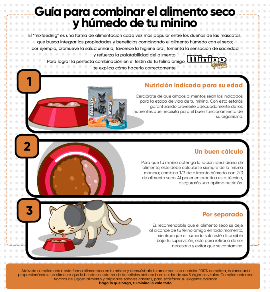 Combinar alimento húmedo con seco ¿es posible?