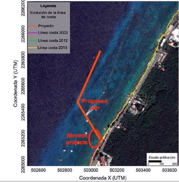 Construirán muelles sobre arrecifes en Cozumel