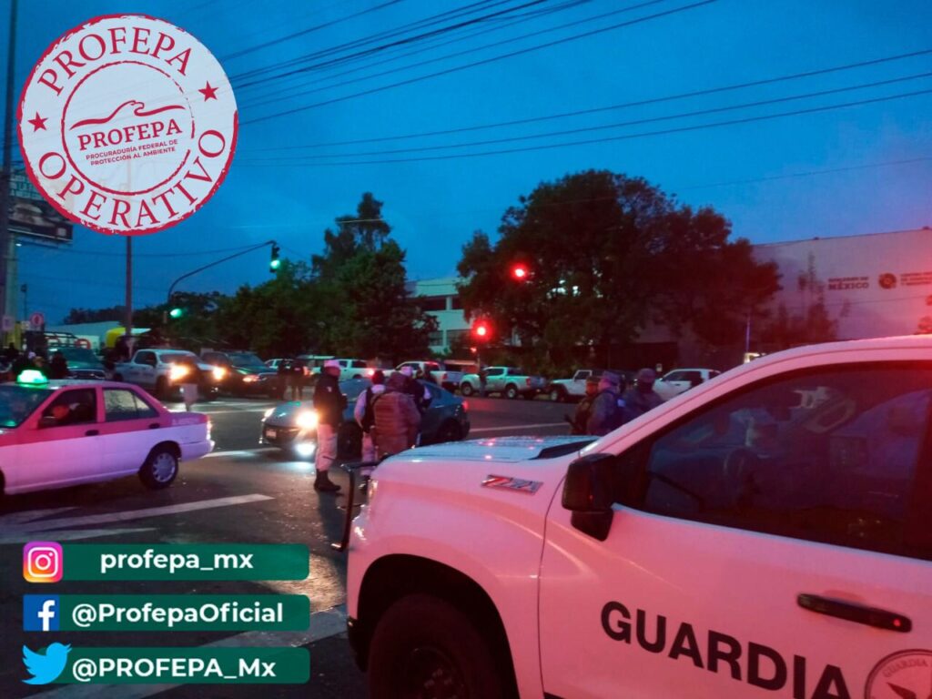 Inspeccionan aserraderos al sur de la Ciudad de México